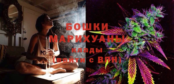 PSILOCYBIN Балахна