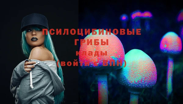 скорость Баксан